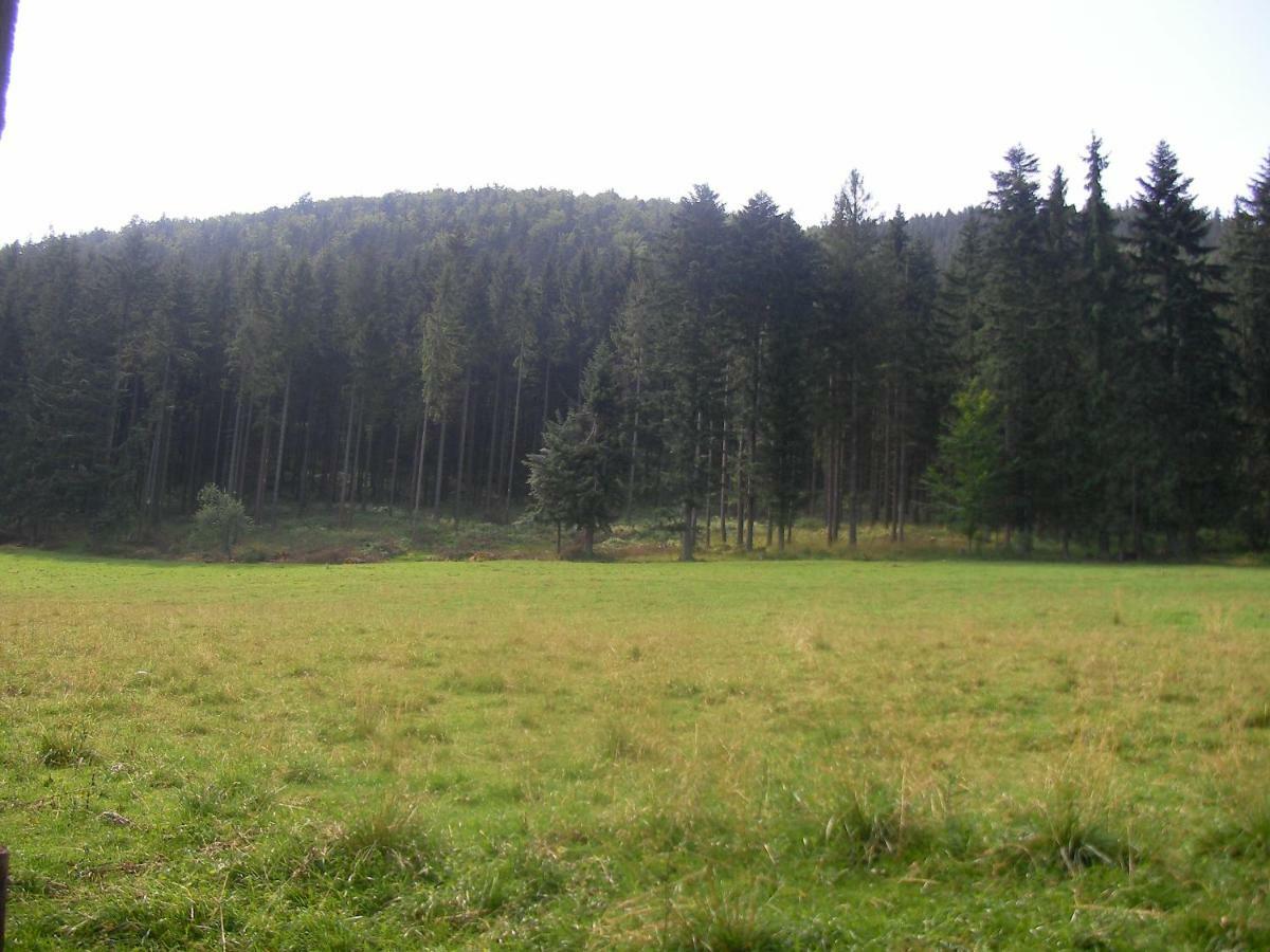 Alloggio in famiglia Wynajem Pokoi-dom Sw Stanislawa *
